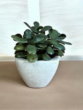 Faux Succulent in White Stone-Look Planter - Green